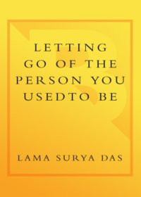 cover of the book Letting go of the person you used to be : lessons on change, loss, and spiritual transformation