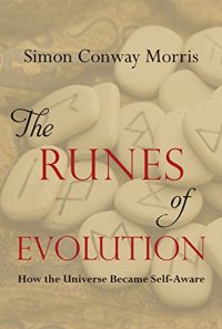 cover of the book The runes of evolution : how the universe became self-aware