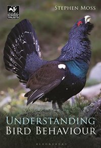 cover of the book Understanding bird behaviour