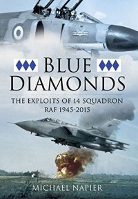 cover of the book Blue diamonds : the exploits of 14 Squadron RAF 1945-2015