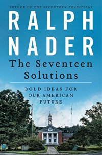 cover of the book The seventeen solutions : bold ideas for our American future