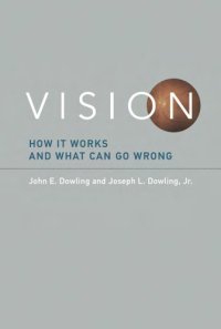 cover of the book Vision: How It Works and What Can Go Wrong