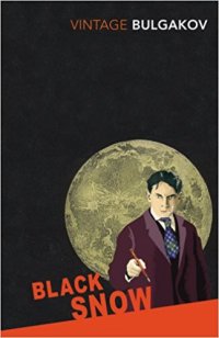 cover of the book Black Snow