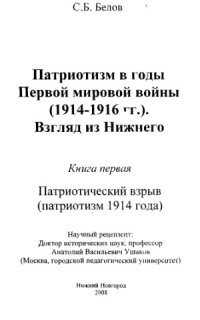 cover of the book Патриотизм в годы Первой мировой войны (1914-1916 гг.). Взгляд из Нижнего