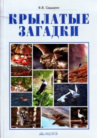 cover of the book Крылатые загадки