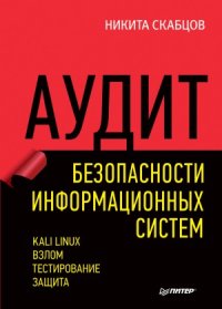 cover of the book Аудит безопасности информационных систем