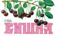 cover of the book Вишня