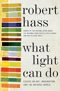 cover of the book What Light Can Do: Essays on Art, Imagination, and the Natural World