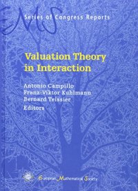 cover of the book Valuation Theory in Interaction