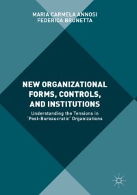 cover of the book New Organizational Forms, Controls, and Institutions : Understanding the Tensions in 'Post-Bureaucratic' Organizations