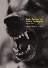 cover of the book Social Censure and Critical Criminology : After Sumner