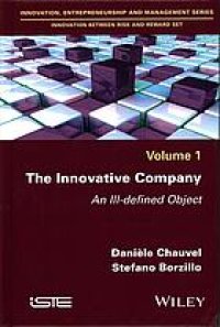 cover of the book The innovative company : an ill-defined object