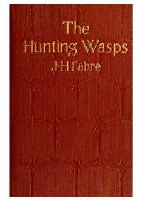 cover of the book The hunting wasps