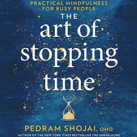 cover of the book The Art of Stopping Time: Practical Mindfulness for Busy People [AUDiOBOOK]