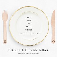 cover of the book The Sum of Small Things: A Theory of the Aspirational Class [AUDiOBOOK]