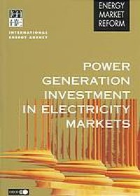 cover of the book Power Generation Investment in Electricity Markets.