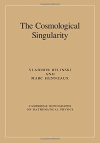 cover of the book The Cosmological Singularity