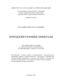 cover of the book Породообразующие минералы