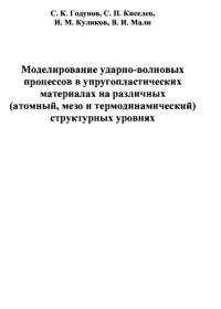cover of the book Моделирование ударно-волновых процессов в упругопластических материалах на различных (атомный, мезо и термодинамический) структурных уровнях