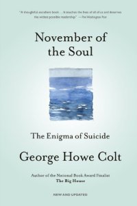 cover of the book November of the Soul: The Enigma of Suicide