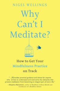 cover of the book Why Can’t I Meditate?: How to Get Your Mindfulness Practice on Track