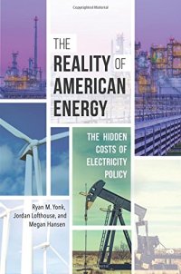 cover of the book The Reality of American Energy: The Hidden Costs of Electricity Policy