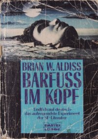 cover of the book Barfuss im Kopf