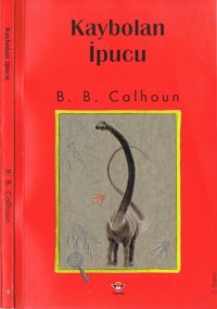 cover of the book Kaybolan İpucu