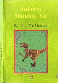 cover of the book Küllerin Altındaki Sır