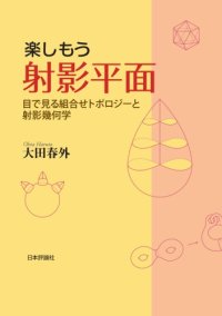 cover of the book 楽しもう射影平面 ～目で見る組合せトポロジーと射影幾何学