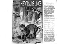 cover of the book História de Lince