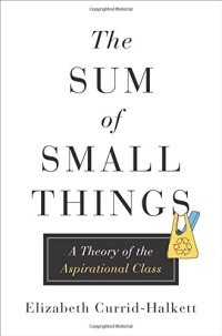 cover of the book The Sum of Small Things: A Theory of the Aspirational Class