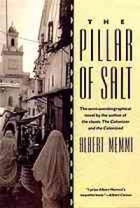 cover of the book The Pillar of Salt