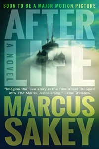 cover of the book Afterlife