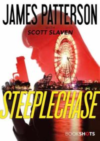 cover of the book Steeplechase