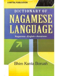 cover of the book Dictionary of Nagamese language. Nagamese-English-Assamese [introductory pages ONLY]