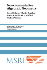 cover of the book Noncommutative Algebraic Geometry