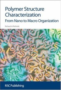 cover of the book Polymer Structure Characterisation: From Nano to Macro: Morphological its molecular origins (Issues in Environmental Scienc)