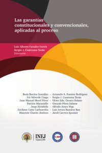 cover of the book Las garantías constitucionales y convencionales, aplicadas al proceso