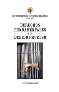 cover of the book Derechos Fundamentales y el Debido Proceso