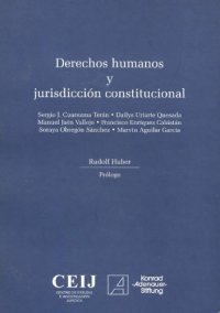 cover of the book Derechos Humanos y Jurisdicción Constitucional