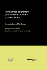 cover of the book Panorámica de Derecho Procesal Constitucional y Convencional