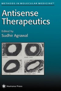 cover of the book Antisense Therapeutics