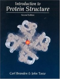 cover of the book Introduction to protein structure