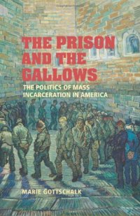 cover of the book The Prison and the Gallows: The Politics of Mass Incarceration in America