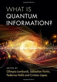 cover of the book What is Quantum Information?