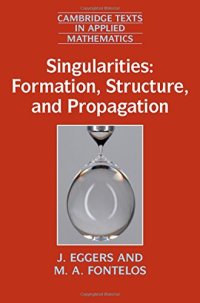 cover of the book Singularities: Formation, Structure, and Propagation