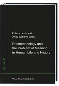 cover of the book Phenomenology and the Problem of Meaning in Human Life and History