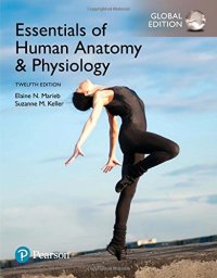 cover of the book Essentials of Human Anatomy & Physiology, Global Edition