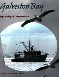 cover of the book Galveston Bay